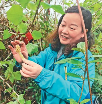 贵州省铜仁职业技术学院教师顾昌华—— 大山里的“菇老师”(爱国情 奋斗者)