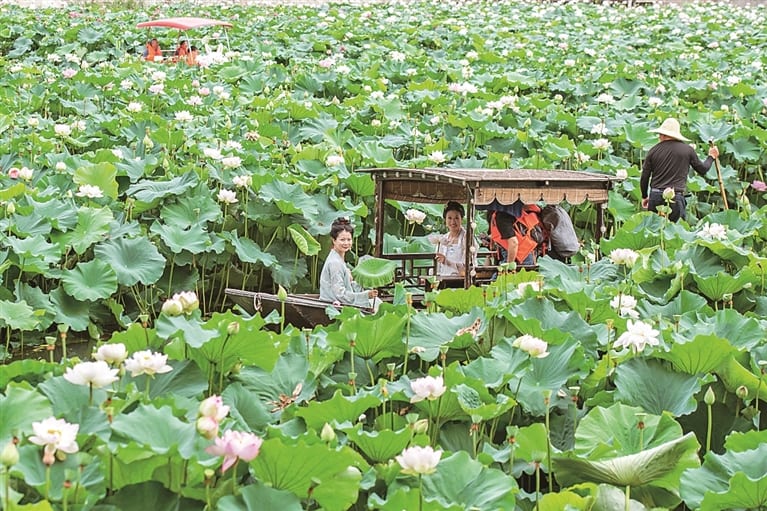 从“观光”到“参与”,从“看景”到“入景”——深度体验成旅行新风尚